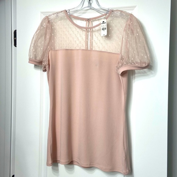 Spring Express Top never been worn - Picture 1 of 3